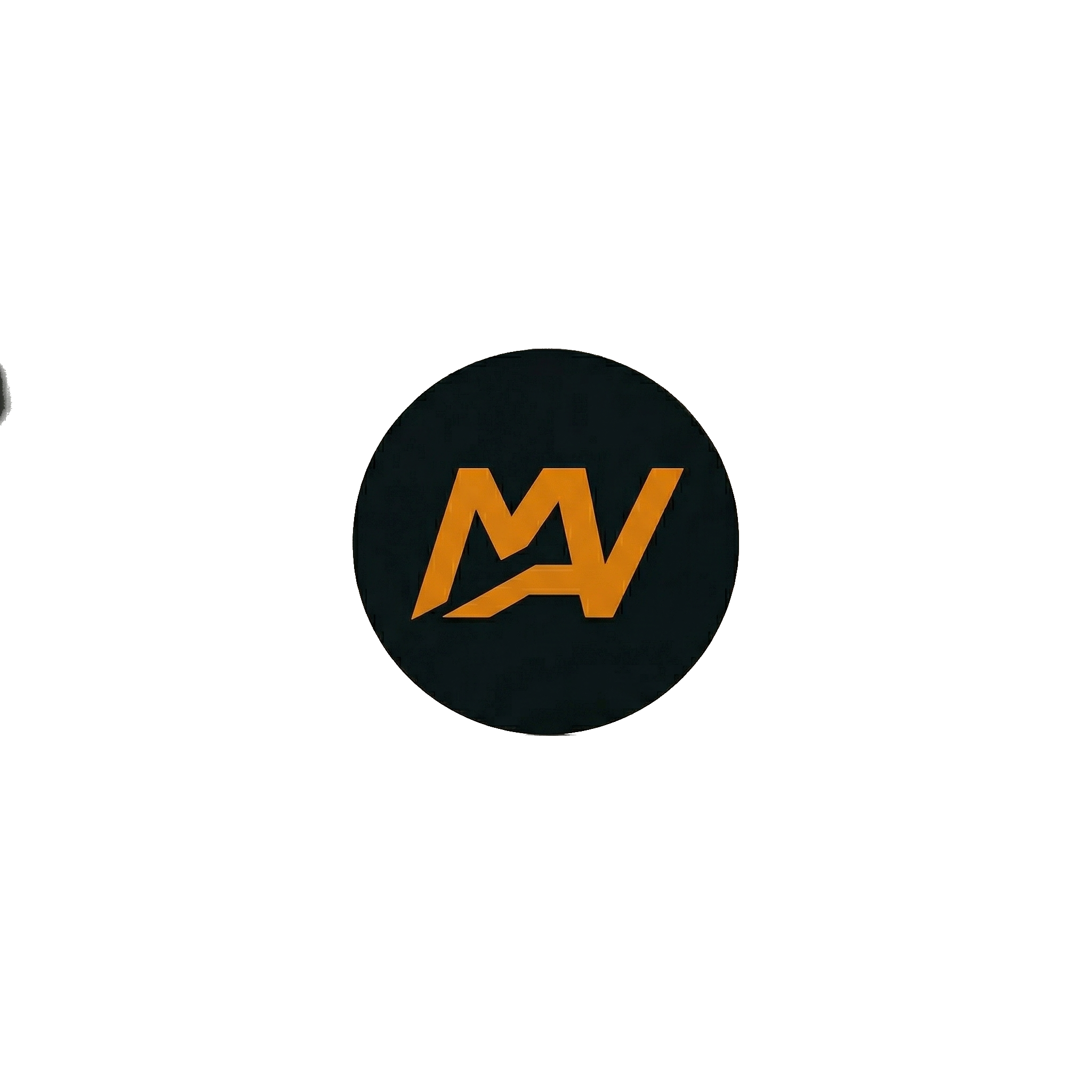 mattiaverzelettipt.com favicon